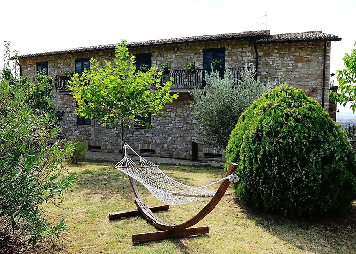 Affittacamere Colle Degli Olivi Snc Assisi